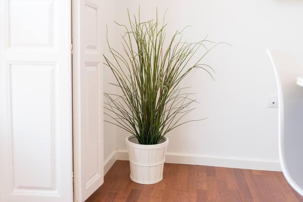 Sunny Malaga Apartments חדר תמונה